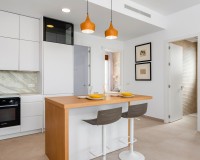 Nouvelle construction - Maison individuelle - Vera