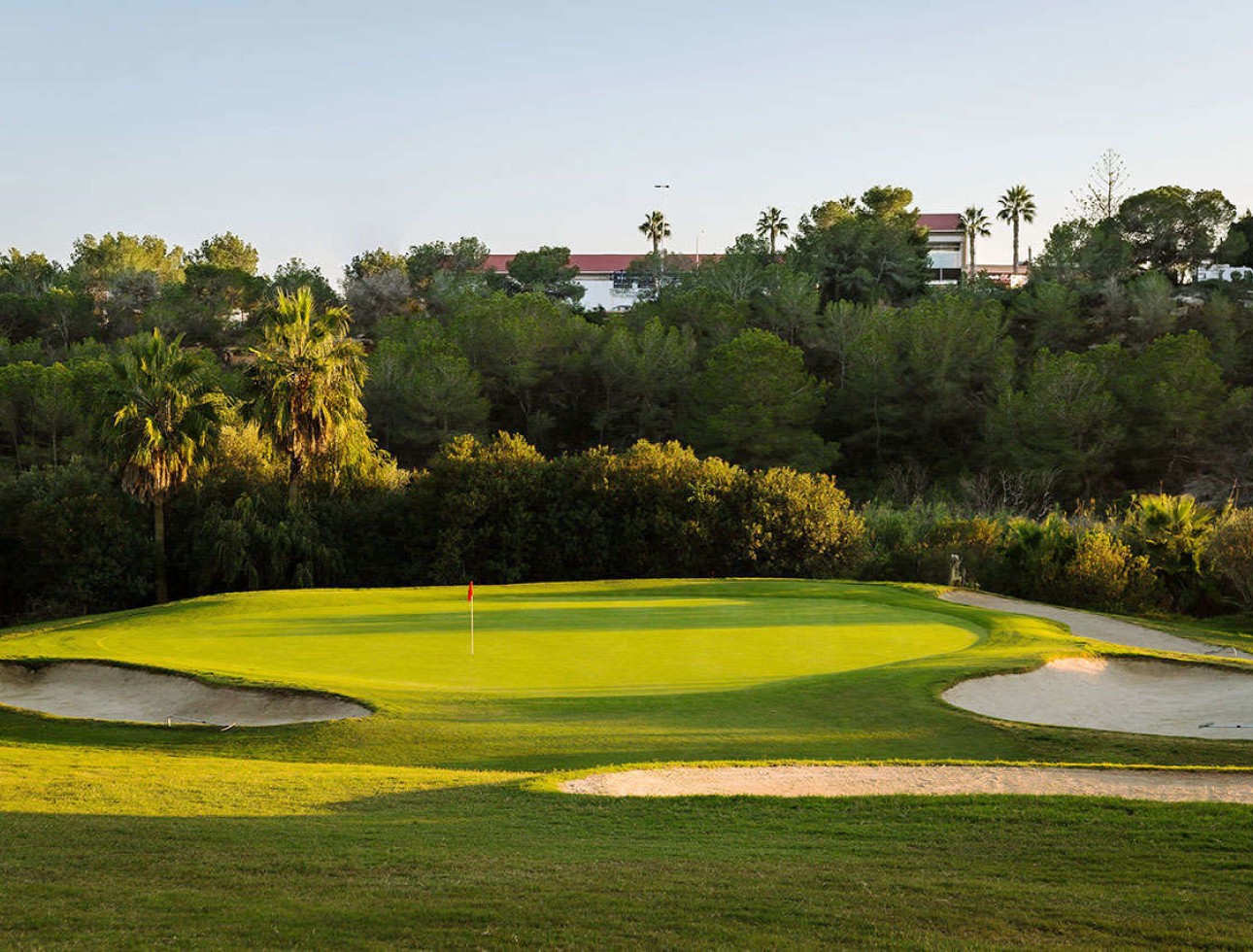 Nouvelle construction - Rez-de-chaussée - Algorfa
