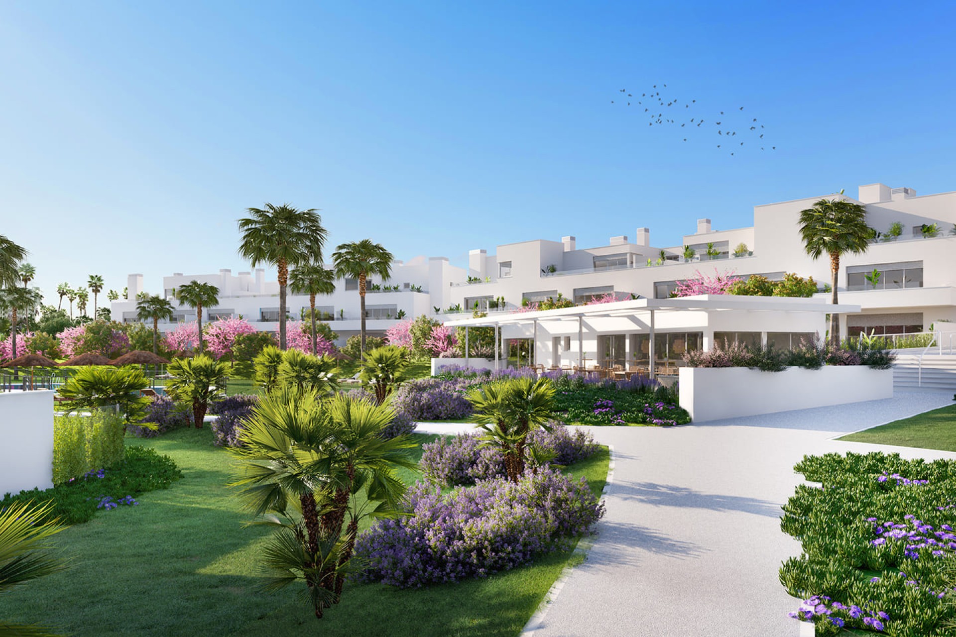 Nouvelle construction - Rez-de-chaussée - Estepona