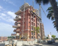 Nouvelle construction - Rez-de-chaussée - Guardamar del Segura