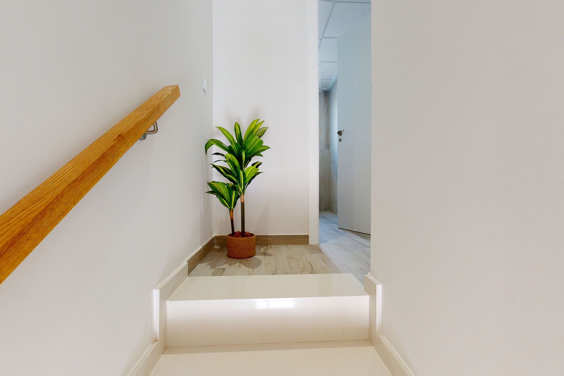 Nouvelle construction - Rez-de-chaussée - Pilar de la Horadada