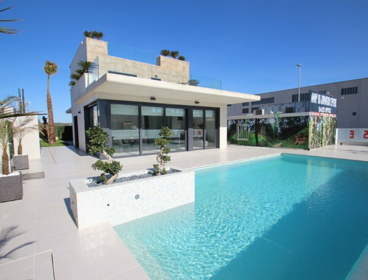 Nouvelle construction - Villa / Jumelée - San Miguel de Salinas