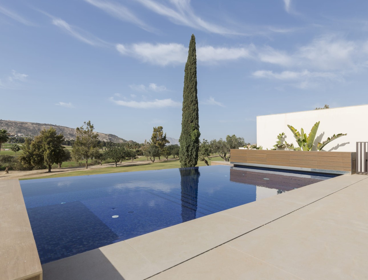 Nouvelle construction - Villa  - La Finca Golf