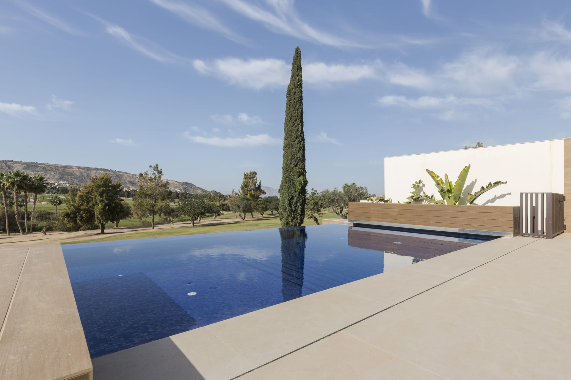 Nouvelle construction - Villa  - La Finca Golf