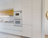 Obra nueva - Ático - Pilar de la Horadada
