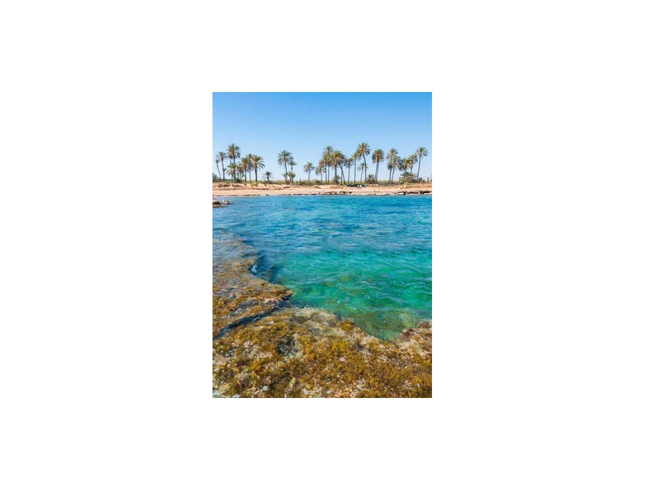 Obra nueva - Ático - Torrevieja
