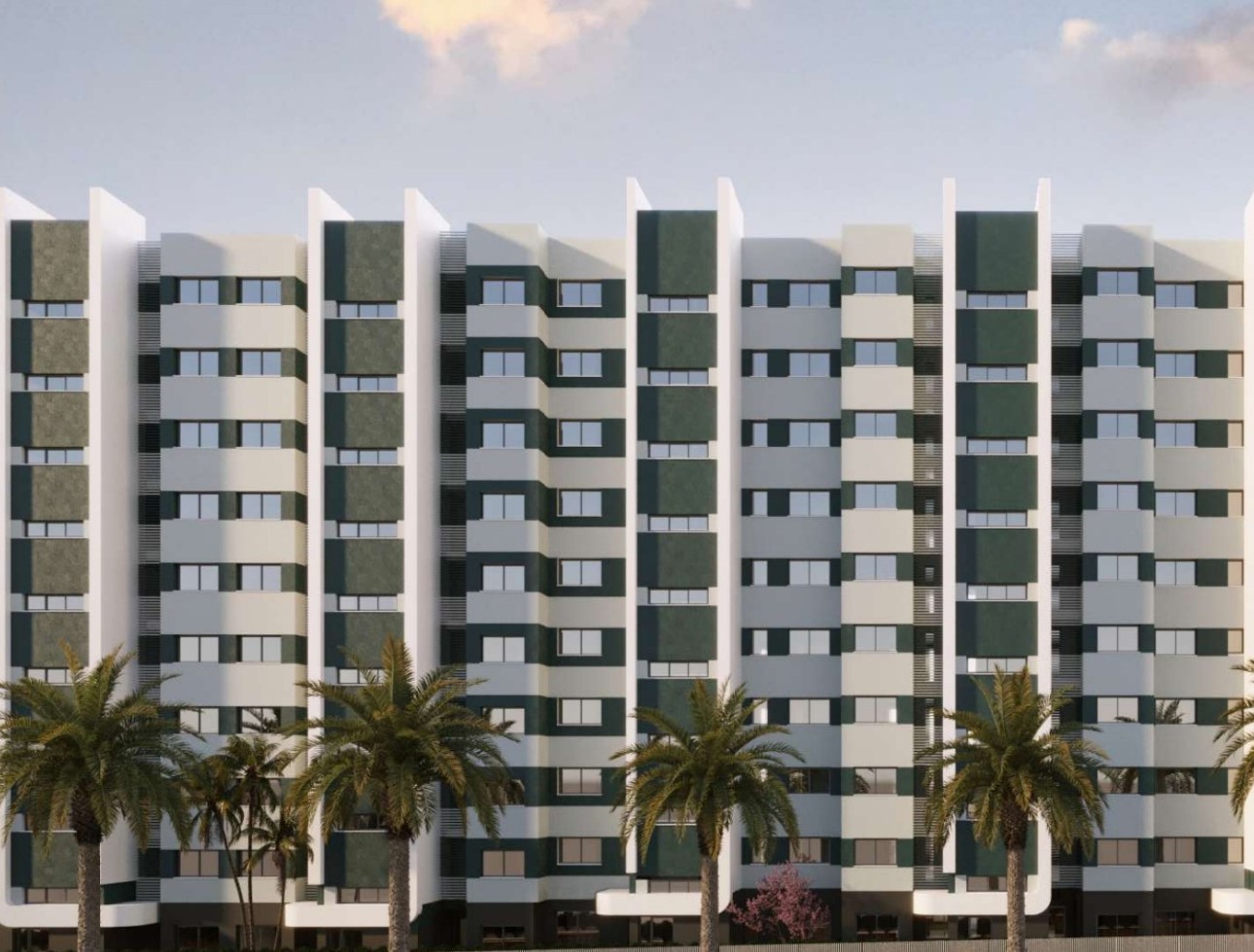 Obra nueva - Ático - Torrevieja