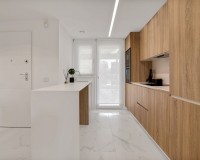 Obra nueva - Ático - Torrevieja