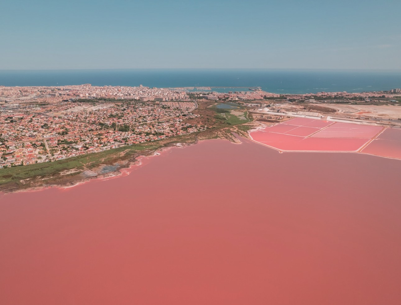 Obra nueva - Bungalow bajo - Torrevieja