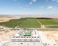 Obra nueva - Bungalow elevado - Torrevieja