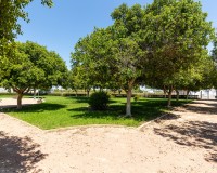 Obra nueva - Casa pareada - Rafal
