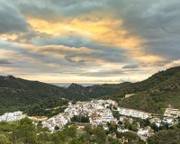 Obra nueva - Planta baja - Benahavís