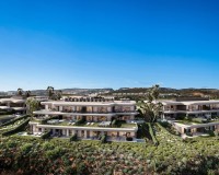 Obra nueva - Planta baja - Casares