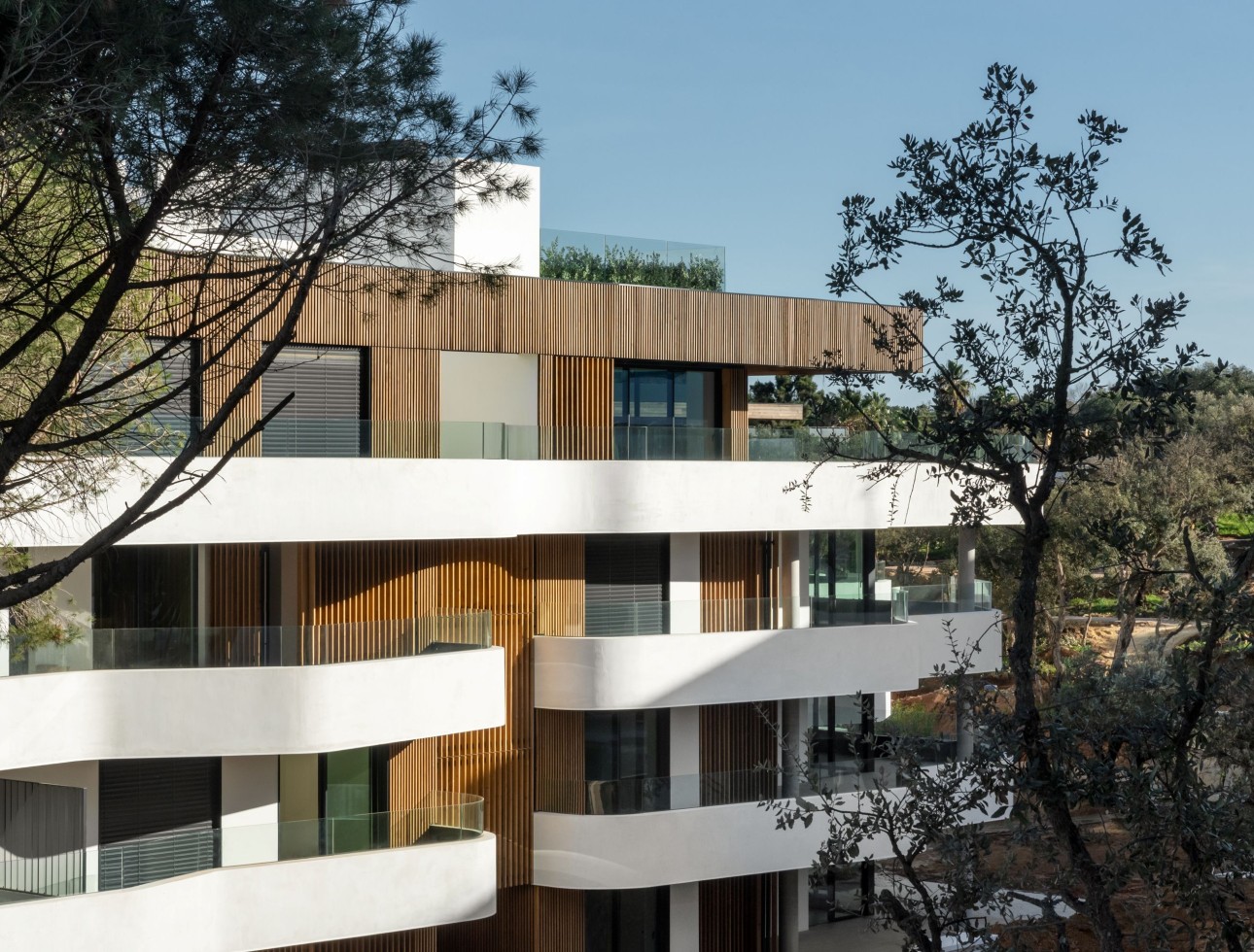 Obra nueva - Planta baja - Pueblo Nuevo