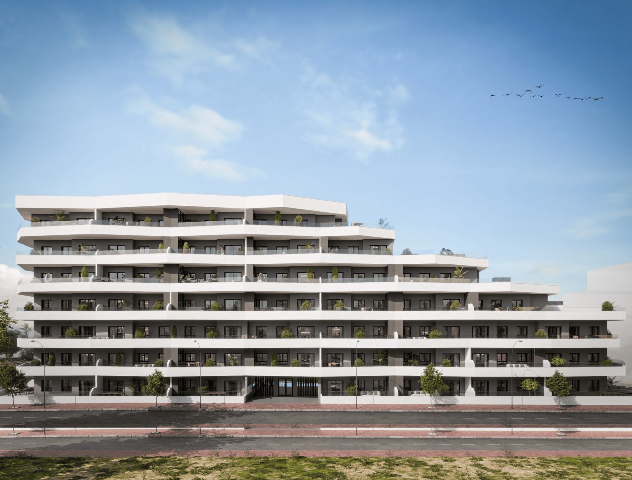 Obra nueva - Planta baja - San Miguel de Salinas