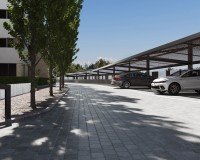 Obra nueva - Planta baja - Torre-Pacheco