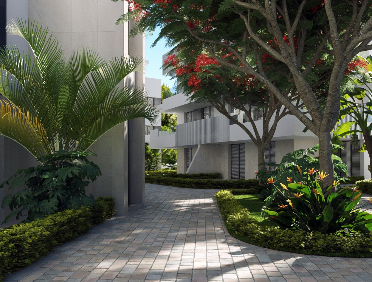 Obra nueva - Planta baja - Torre-Pacheco
