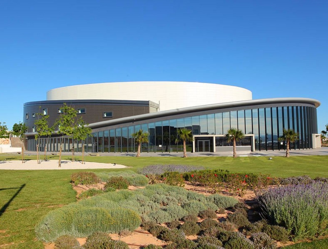 Obra nueva - Planta baja - Torrevieja