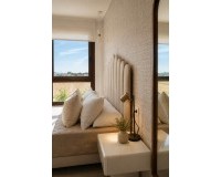 Obra nueva - terraced - Dolores