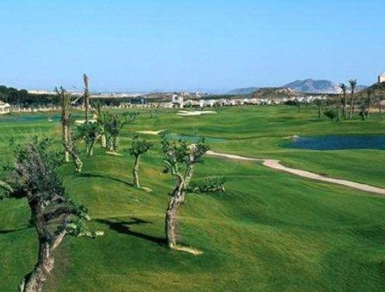 Obra nueva - terraced - Peraleja Golf