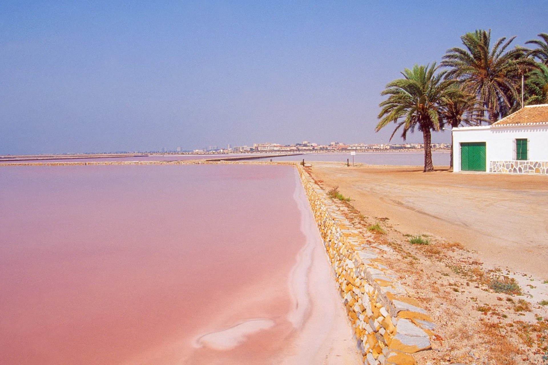 Obra nueva - terraced - San Pedro del Pinatar