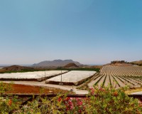 Obra nueva - Unifamiliar - Águilas