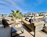 Obra nueva - Unifamiliar - Benijófar