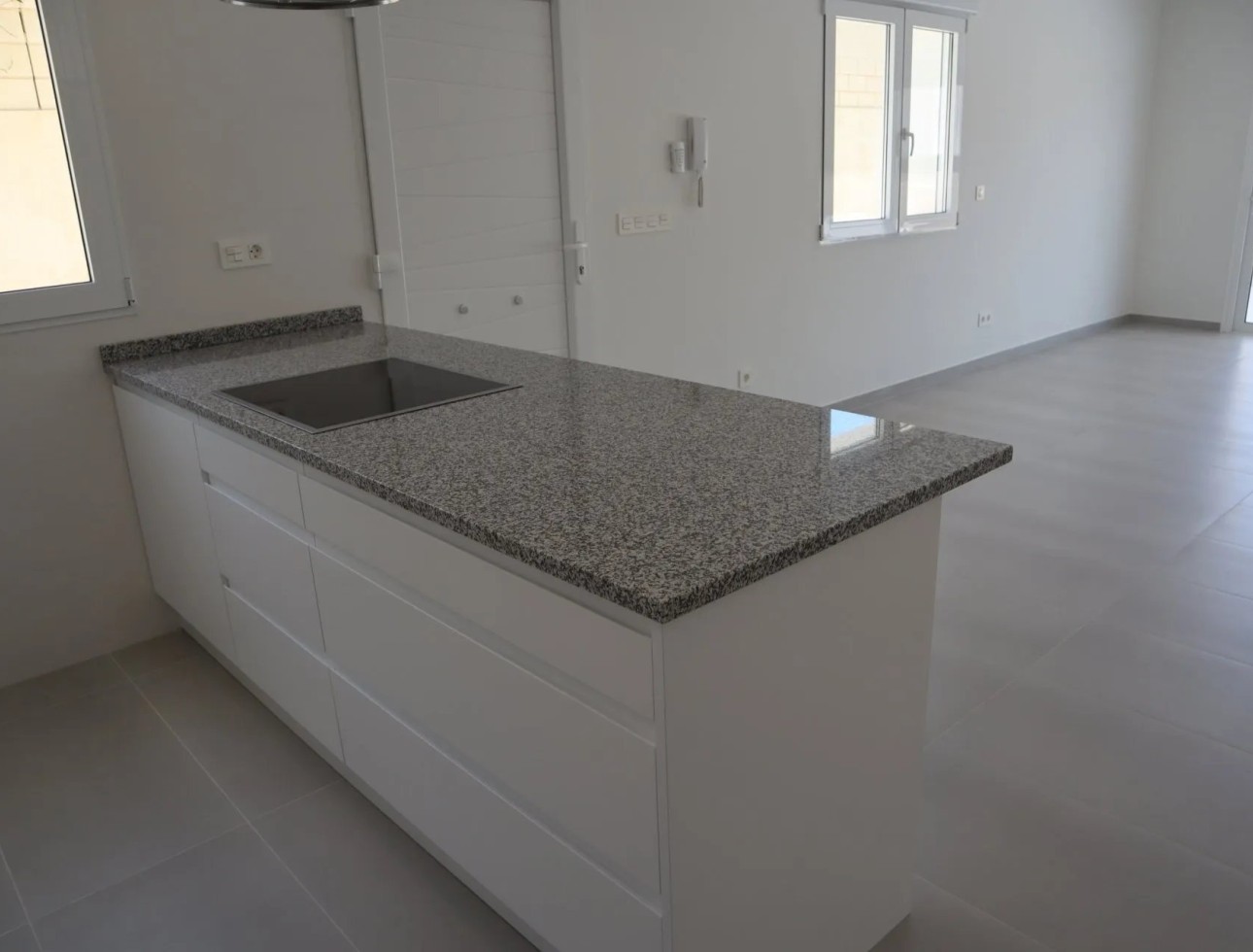 Obra nueva - Unifamiliar - la Romana