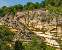 Obra nueva - Unifamiliar - Pinar de Campoverde