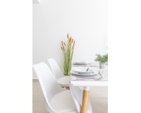 Obra nueva - Unifamiliar - San Javier