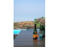 Obra nueva - Villa / Chalet - Rojales