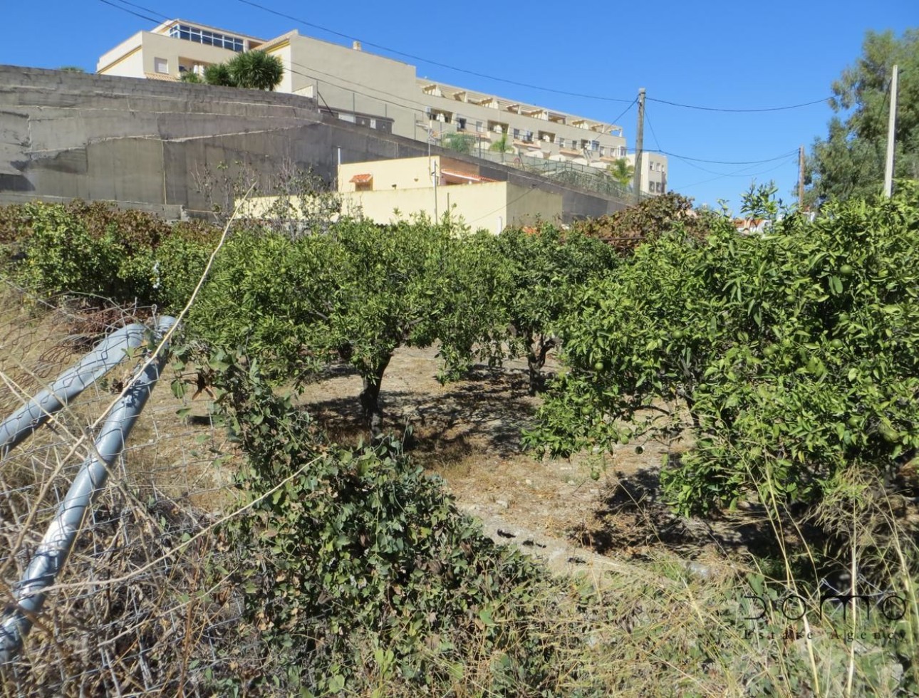 Resale - Plot / Land - Turre