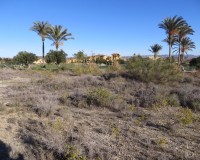 Resale - Plot / Land - Vera