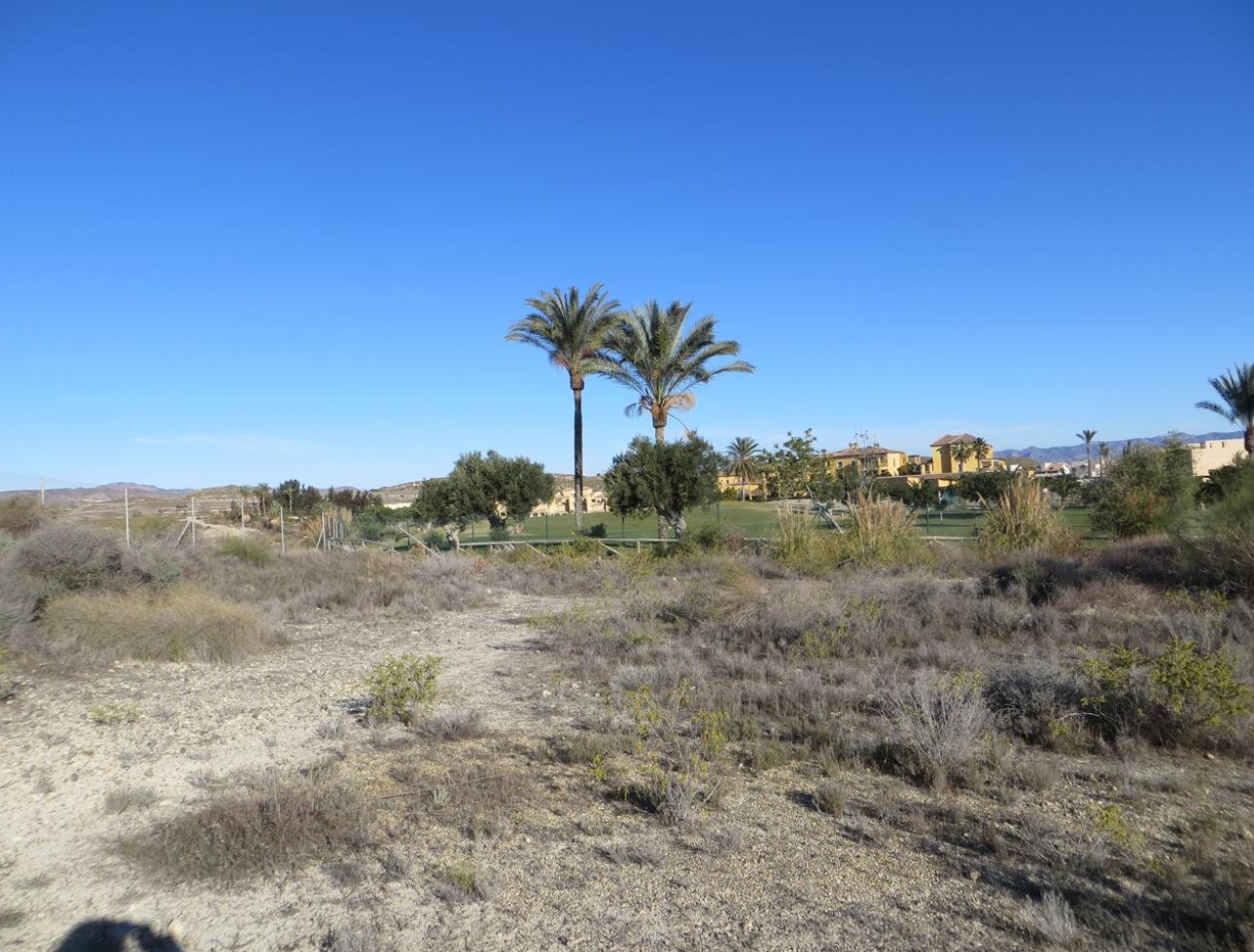 Resale - Plot / Land - Vera