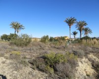 Resale - Plot / Land - Vera