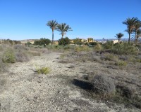 Resale - Plot / Land - Vera