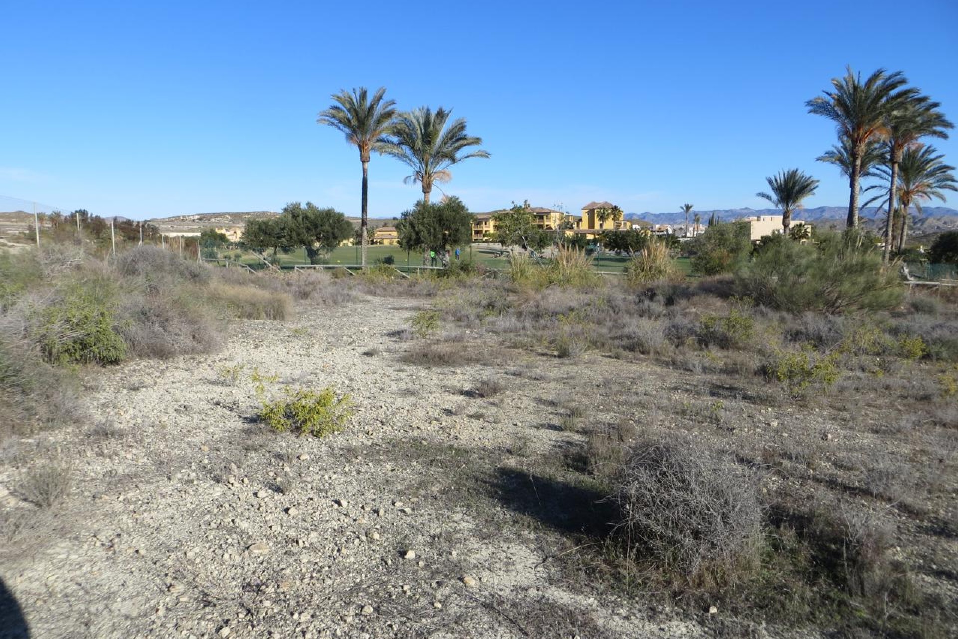 Resale - Plot / Land - Vera