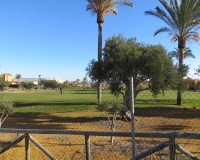 Resale - Plot / Land - Vera