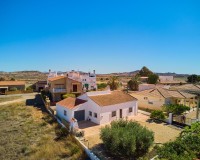 Resale - Villa / Semi-detached Villa - Mojácar