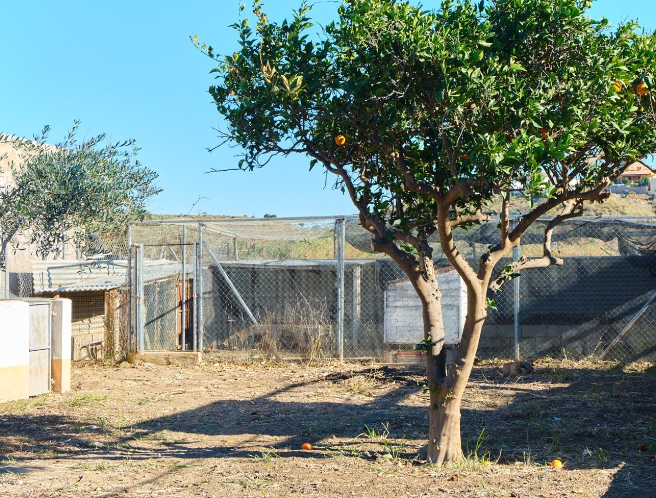 Revente - Maison de campagne - Turre