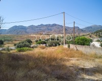 Revente - Parcelle / Terrain - Turre