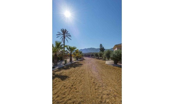 Resale - Villa - Turre