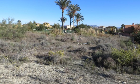 Resale - Plot / Land - Vera