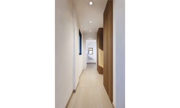 Nouvelle construction - Maison individuelle - San Miguel de Salinas