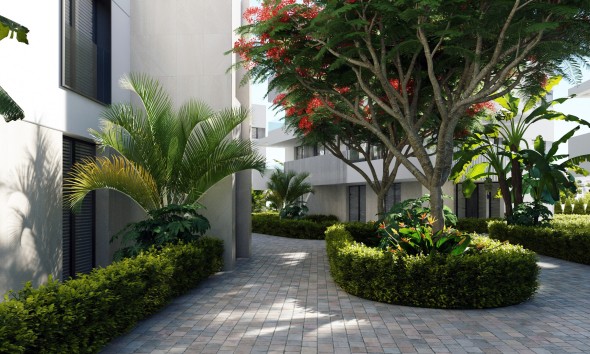 New Build - Apartment / flat - Torre-Pacheco