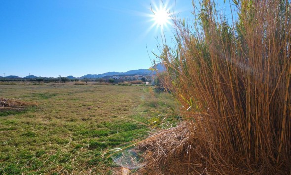 Location à long terme - Maison de campagne - Turre