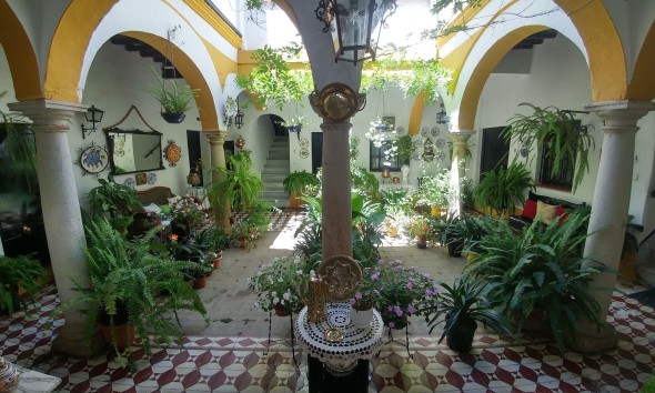 Nouvelle construction - Appartement - San Roque