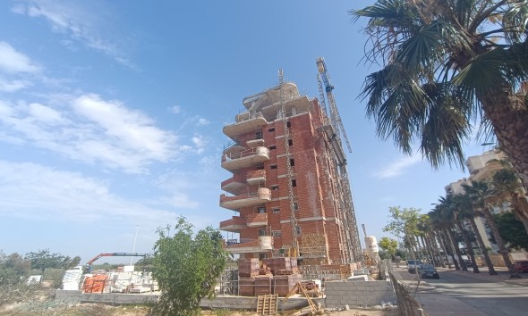 Nouvelle construction - Rez-de-chaussée - Guardamar del Segura