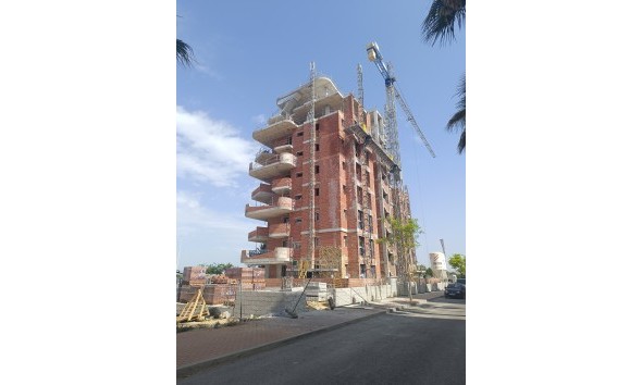 Nouvelle construction - Rez-de-chaussée - Guardamar del Segura