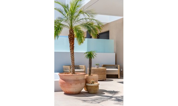 Nieuwbouw Woningen - terraced - Dolores